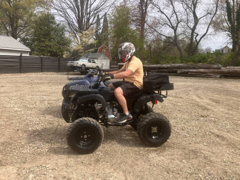 2016 Tao Tao Rhino 250