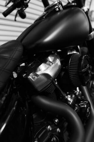 2018 Harley-Davidson FLSL