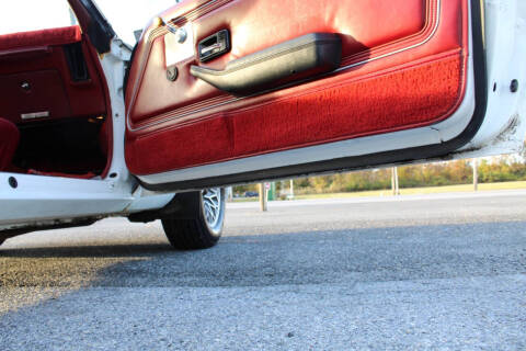 1979 Pontiac Firebird