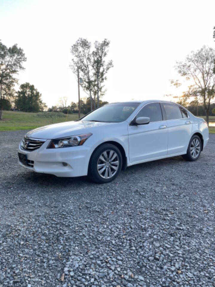 2011 Honda Accord for sale at Cove Creek Motors LLC in Damascus, AR