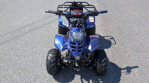2025 TrailMaster Mini 110 Sport