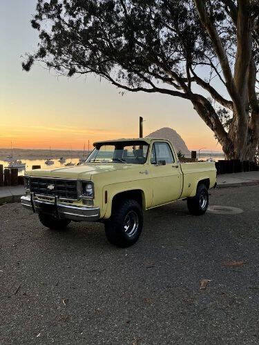 1976 Chevrolet C/K 10 Series