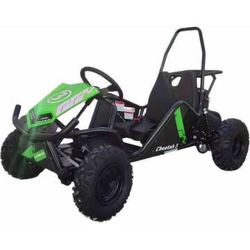 2024 TrailMaster Cheetah 3