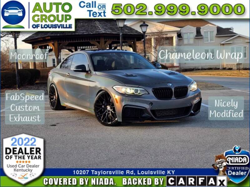 2015 BMW 2 Series for sale at Auto Group of Louisville in Louisville KY