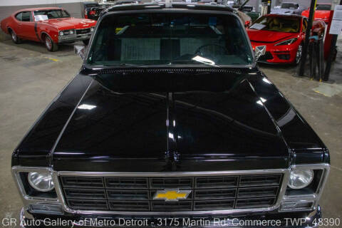 1979 Chevrolet C/K 10 Series