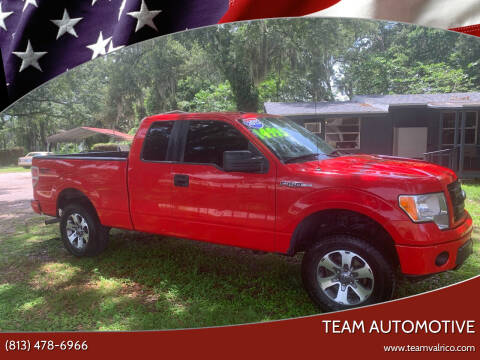 2013 Ford F-150 for sale at TEAM AUTOMOTIVE in Valrico FL