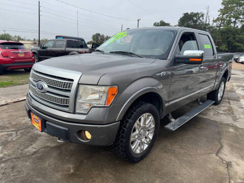 2010 Ford F-150 Platinum