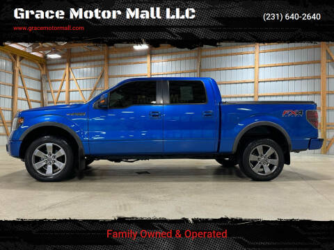 2014 Ford F-150 for sale at Grace Motor Mall LLC in Traverse City MI
