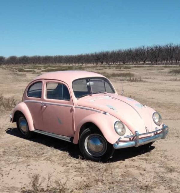1964 Volkswagen Beetle