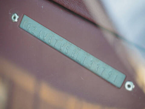 1981 Pontiac Firebird Trans Am