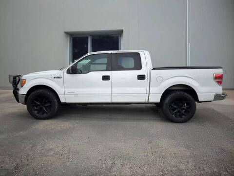 2013 Ford F-150 for sale at SCOTTIES AUTO SALES in Billings MT