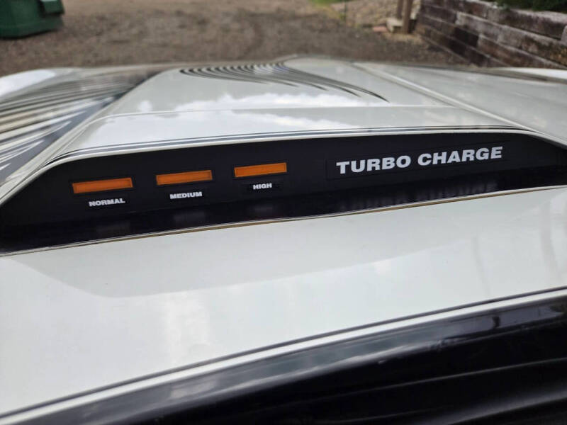 1981 Pontiac Firebird Trans Am SE Turbo