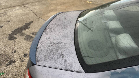 2010 Honda Civic EX