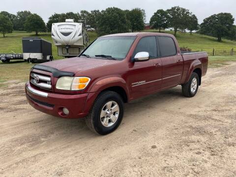 2004 Toyota Tundra for sale at A&P Auto Sales in Van Buren AR