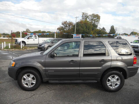 2002 Ford Escape for sale at All Cars and Trucks in Buena NJ