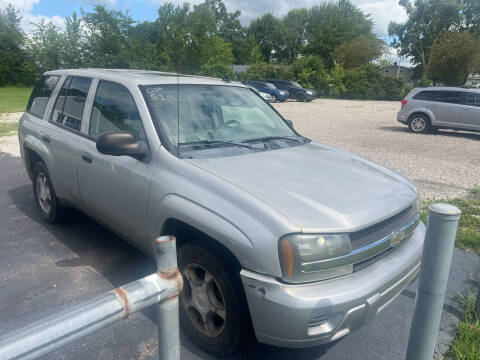 2007 Chevrolet TrailBlazer for sale at HEDGES USED CARS in Carleton MI