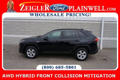 2019 Toyota RAV4 Hybrid for sale at Zeigler Ford of Plainwell- Jeff Bishop - Zeigler Ford of Lowell in Lowell MI