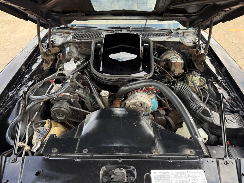 1979 Pontiac Firebird Trans Am