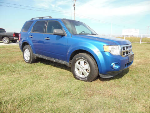 2011 Ford Escape XLT
