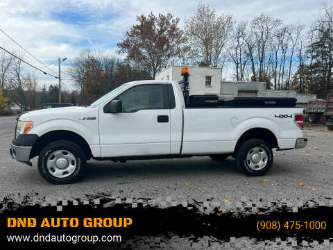 2009 Ford F-150 for sale at DND AUTO GROUP in Belvidere NJ