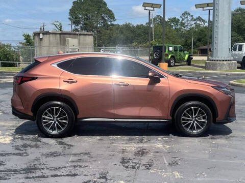 2025 Lexus NX 250
