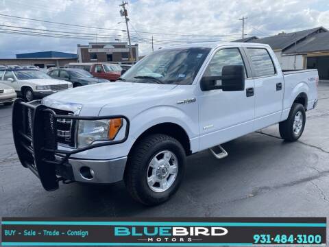 2013 Ford F-150 for sale at Blue Bird Motors in Crossville TN