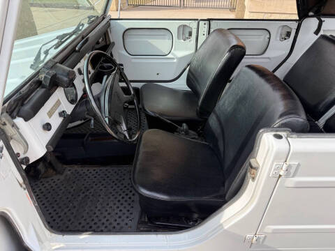 1973 Volkswagen Thing