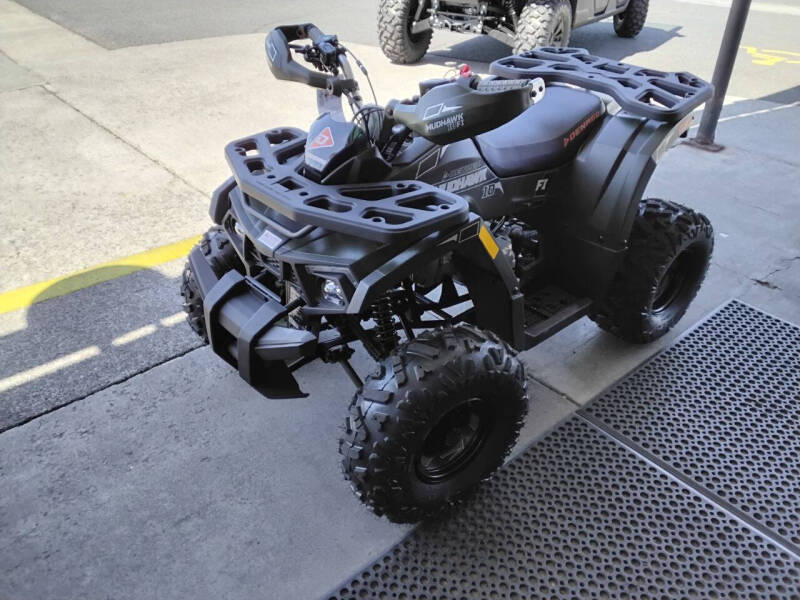 2025 Denago Mudhawk 10 Fi Atv