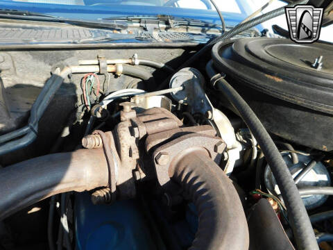 1981 Pontiac Firebird Trans Am