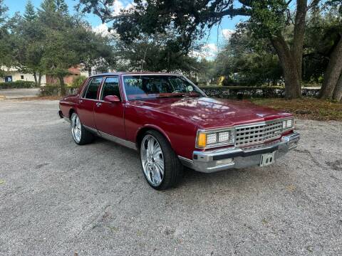 1984 Chevrolet Caprice for sale at LUXURY AUTO MALL in Tampa FL