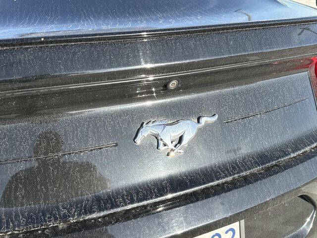 2020 Ford Mustang EcoBoost