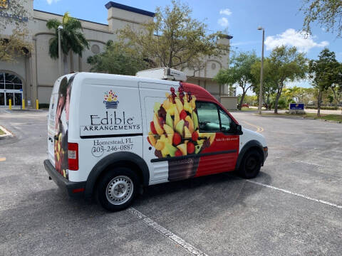 2013 Ford Transit Connect for sale at BIG BOY DIESELS in Fort Lauderdale FL
