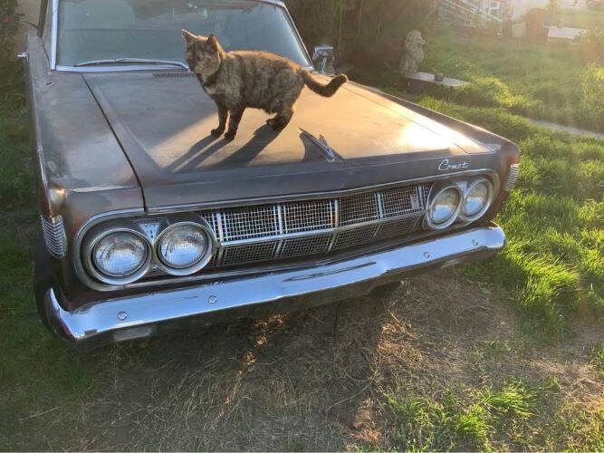1964 Mercury Comet