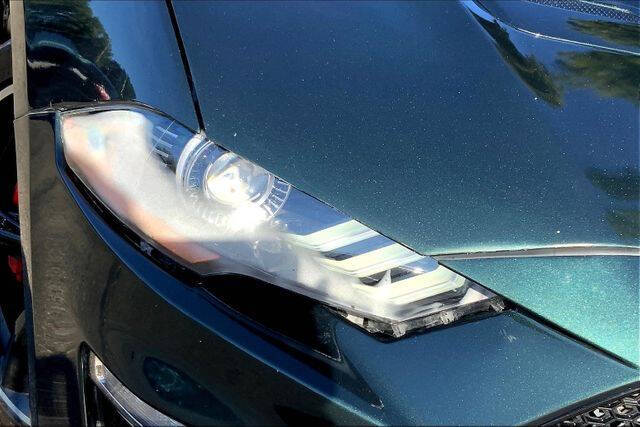 2019 Ford Mustang BULLITT