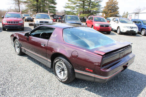 1985 Pontiac Firebird Trans Am