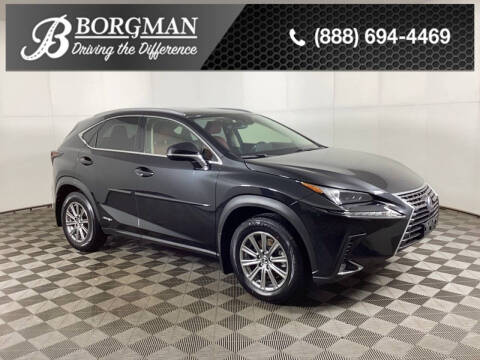 2021 Lexus NX 300h for sale at BORGMAN OF HOLLAND LLC in Holland MI
