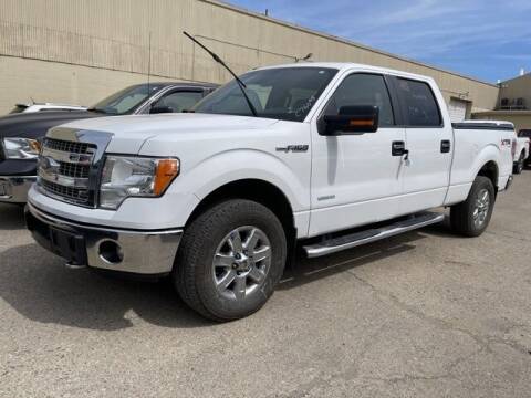 2014 Ford F-150 for sale at Monster Motors in Michigan Center MI