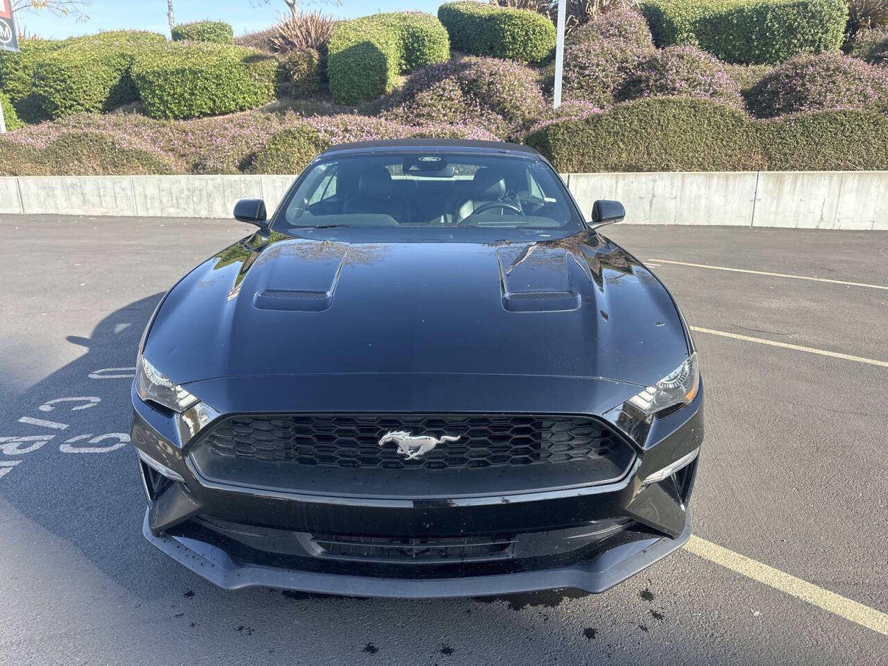 2022 Ford Mustang for sale at Envision Toyota of Milpitas in Milpitas, CA