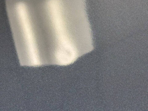 1981 Pontiac Firebird Trans Am