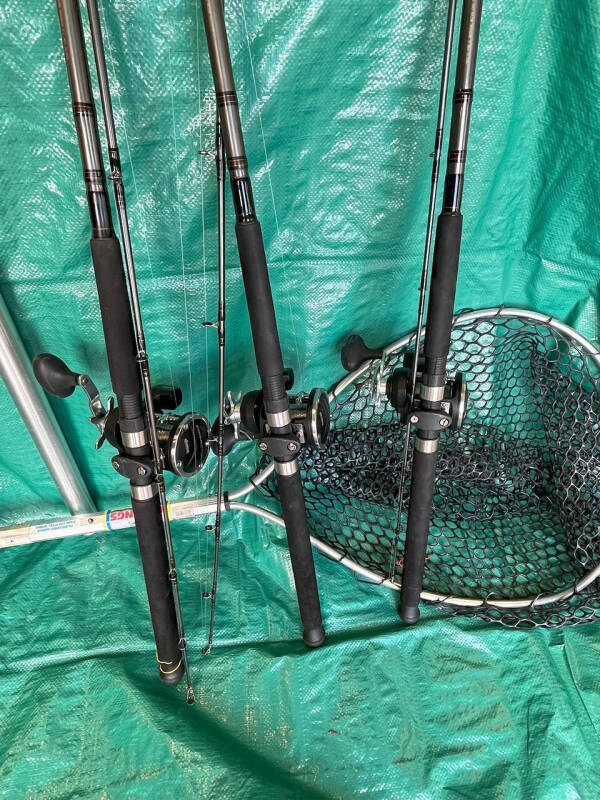 1999 Bayliner Trophy 2052