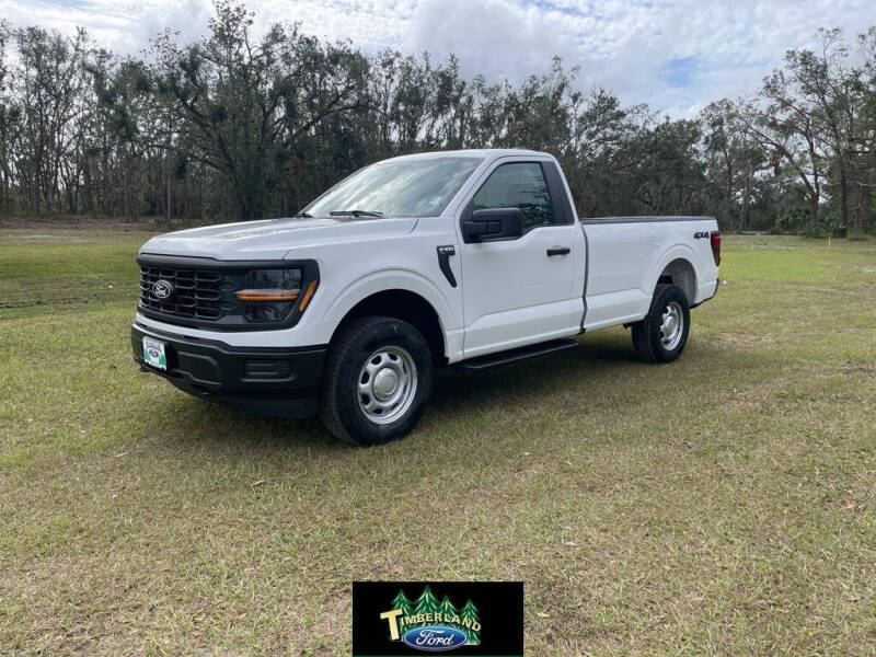 2024 Ford F-150 for sale at TIMBERLAND FORD in Perry FL