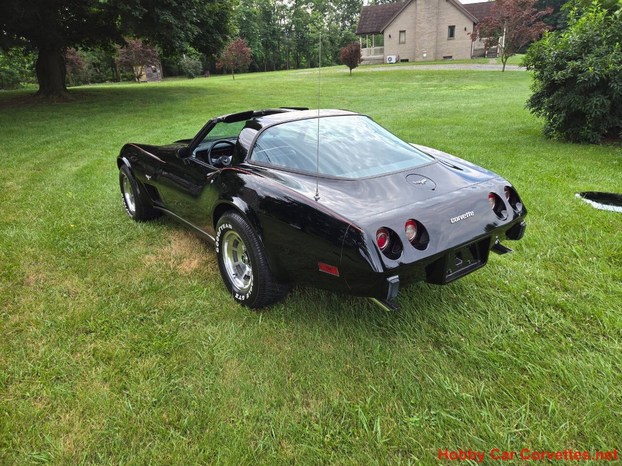 1979 Chevrolet Corvette 13