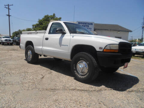1999 Dodge Dakota for sale at Mountain Auto in Jackson CA