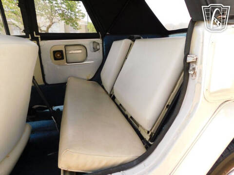 1974 Volkswagen Thing