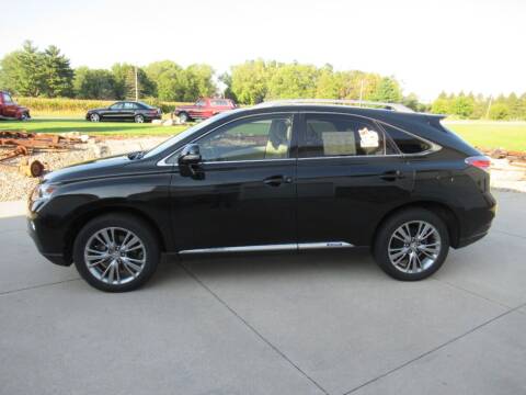 2013 Lexus RX 450h for sale at OLSON AUTO EXCHANGE LLC in Stoughton WI