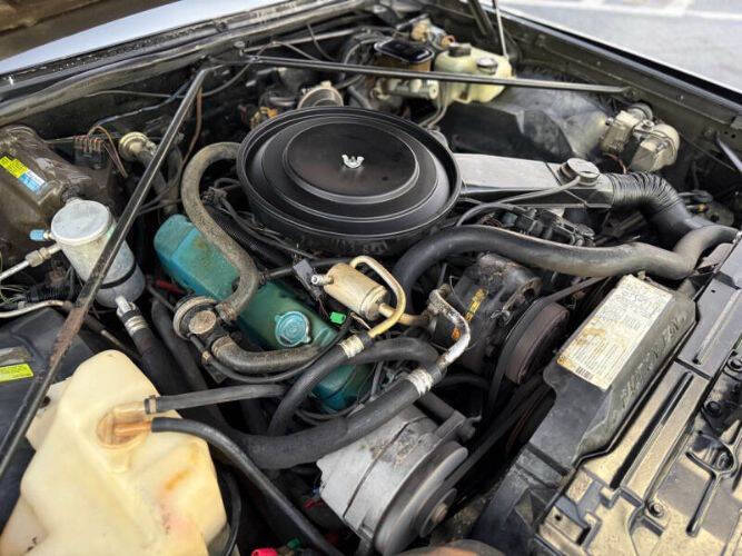 1980 Cadillac Eldorado