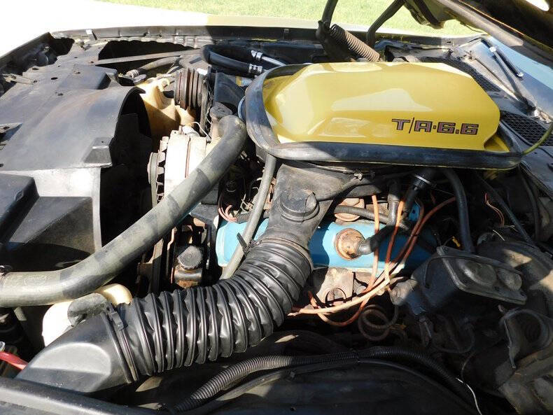 1979 Pontiac Firebird Trans Am