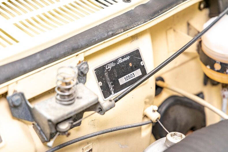 1967 Alfa Romeo Spider