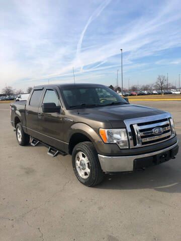 2009 Ford F-150 for sale at Cargo Vans of Chicago LLC in Bradley IL