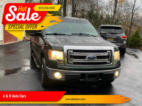 2013 Ford F-150 for sale at A & B Auto Cars in Newark NJ